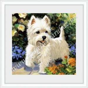 gocsejwebaruhaz-gyemantszemes-kirako-ccam03-westie-gocsejplaza
