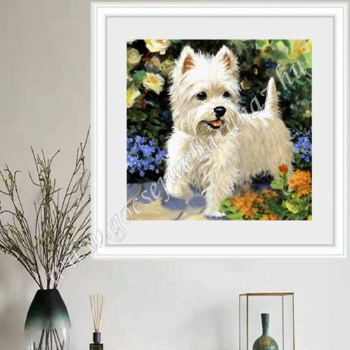 gocsejwebaruhaz-gyemantszemes-kirako-ccam03-westie2-gocsejplaza
