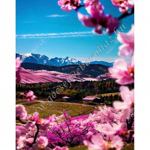 gocsejwebaruhaz-gyemantszemes-kirako-DZDP50662-japan-cseresznyefa-viragzas-gocsejplaza gocsejwebaruhaz-gyemantszemes-kirako-DZDP50662-japan-cseresznyefa-viragzas-gocsejplaza