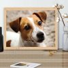 gocsejwebaruhaz-gyemantszemes-kirako-GI100-jack-russel-terrier-kutya-gocsejplaza