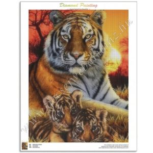 gocsejwebaruhaz-gyemantszemes-kirako-DZDP85136-tigris-csalad