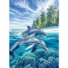 gocsejwebaruhaz-gyemantszemes-kirako-AM2-020704-delfinek-a-tengerparton