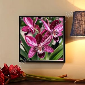 gocsejwebaruhaz-gyemantszemes-kirako-zcq897-1-pillango-orchidea