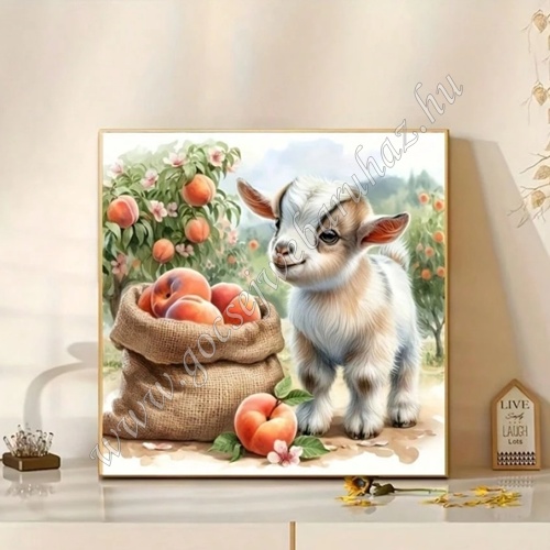 gocsejwebaruhaz-gyemantszemes-kirako-LX5023-kis-boci-a-barackosban (3) gocsejwebaruhaz-gyemantszemes-kirako-LX5023-kis-boci-a-barackosban