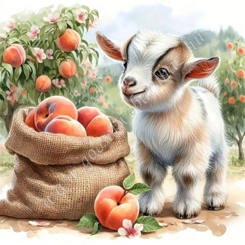 gocsejwebaruhaz-gyemantszemes-kirako-LX5023-kis-boci-a-barackosban gocsejwebaruhaz-gyemantszemes-kirako-LX5023-kis-boci-a-barackosban